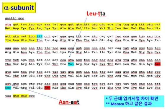 영장류 알파 유전자 염기서열 결과