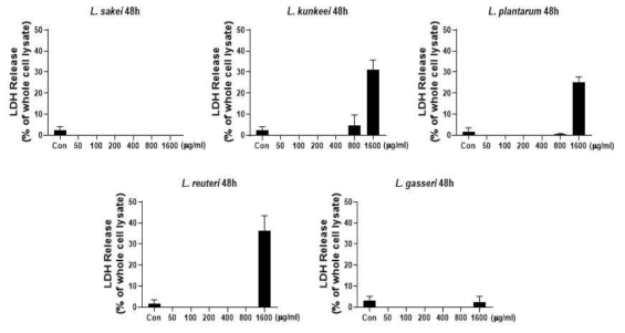 5종의 Lactobacillus 사균체 처리 48시간 후 LDH release assay