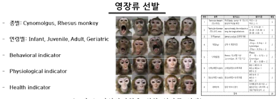 비임상시험을 위한 영장류 선발