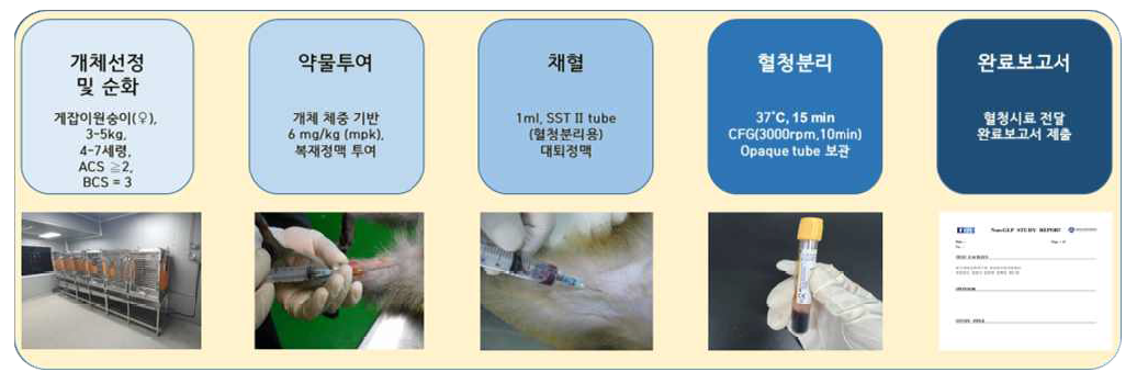 영장류 활용 전임상 시험절차