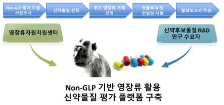 Non-GLP 기반 영장류 활용 신약물질 평가 추진체계