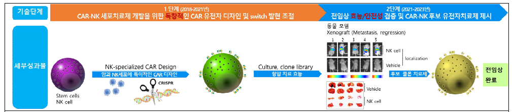 면역치료제연구센터 CAR-NK 치료제 개발 현황