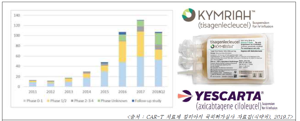 CAR-T 세포치료제의 전임상/임상단계 수행 현황