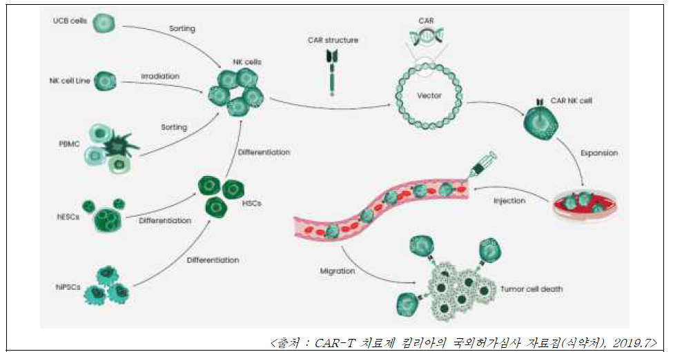 CAR-T 세포치료제의 전임상/임상단계 수행 현황