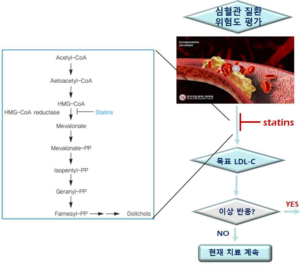 스타틴의 작용 기전 및 치료 전략