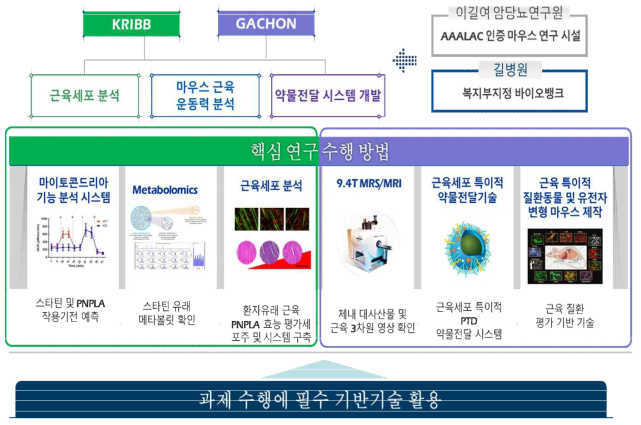 본과제는 생명공학연구원이 주관연구기관으로써 스타틴에 의한 근육세포 및 근육조직의 이상 반응을 검정하며, 공동연구 기관인 가천대학교에서 근육 손상 부위에 대한 약물전달시스템 개발을 주요 목표로 하고 있음