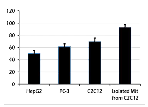 Cardiolipin contents per mg protein in cell lysates from HepG2, PC-3, C2C12, and isolated mitochondria of C2C12