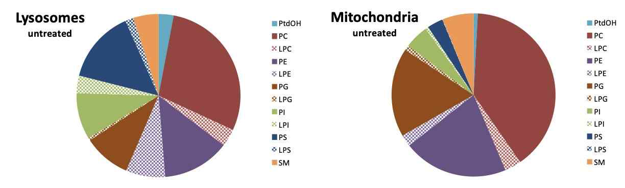 lysosome과 mitochondria에서 lipid profiling의 변화