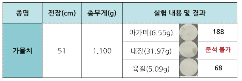 가물치의 부위별 실험 결과