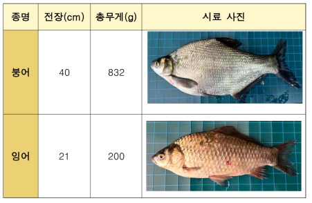 생물종 채취 내용