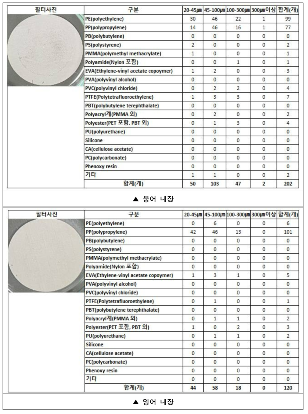 내장 실험 미세플라스틱 검출 결과