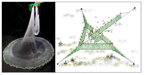 담수 어류 채집 어구(좌 : 투망, 우 : 삼각망) (자료 : 국립환경과학원, 담수 어류 중 미세플라스틱 실태조사, 2019)