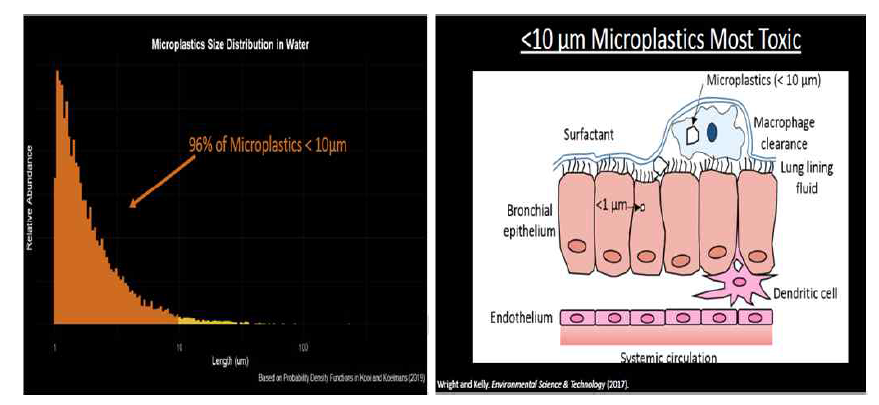 미세플라스틱 입자크기별 현황 및 인체유해성