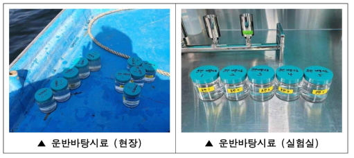 운반 바탕시료 준비