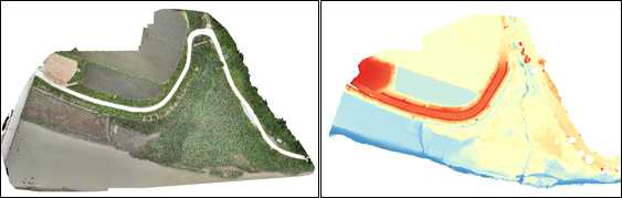 M300-광학센서로 촬영된 주진천 식생지역 정사영상(좌), DEM(우)