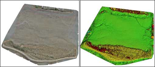 낙동강 하구 진우도 (A지역) 정사영상(좌), DEM(우)