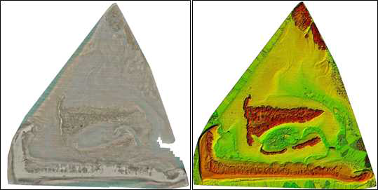 낙동강 하구 백합등 (D 지역) 정사영상(좌), DEM(우)