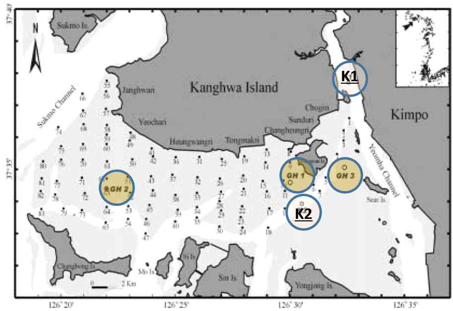 강화도 남부 갯벌의 K1(염하수로) 및 K2(강화도 남부갯벌 주수로) 부유 퇴적물 유출입 특성(Woo et al., 2002)