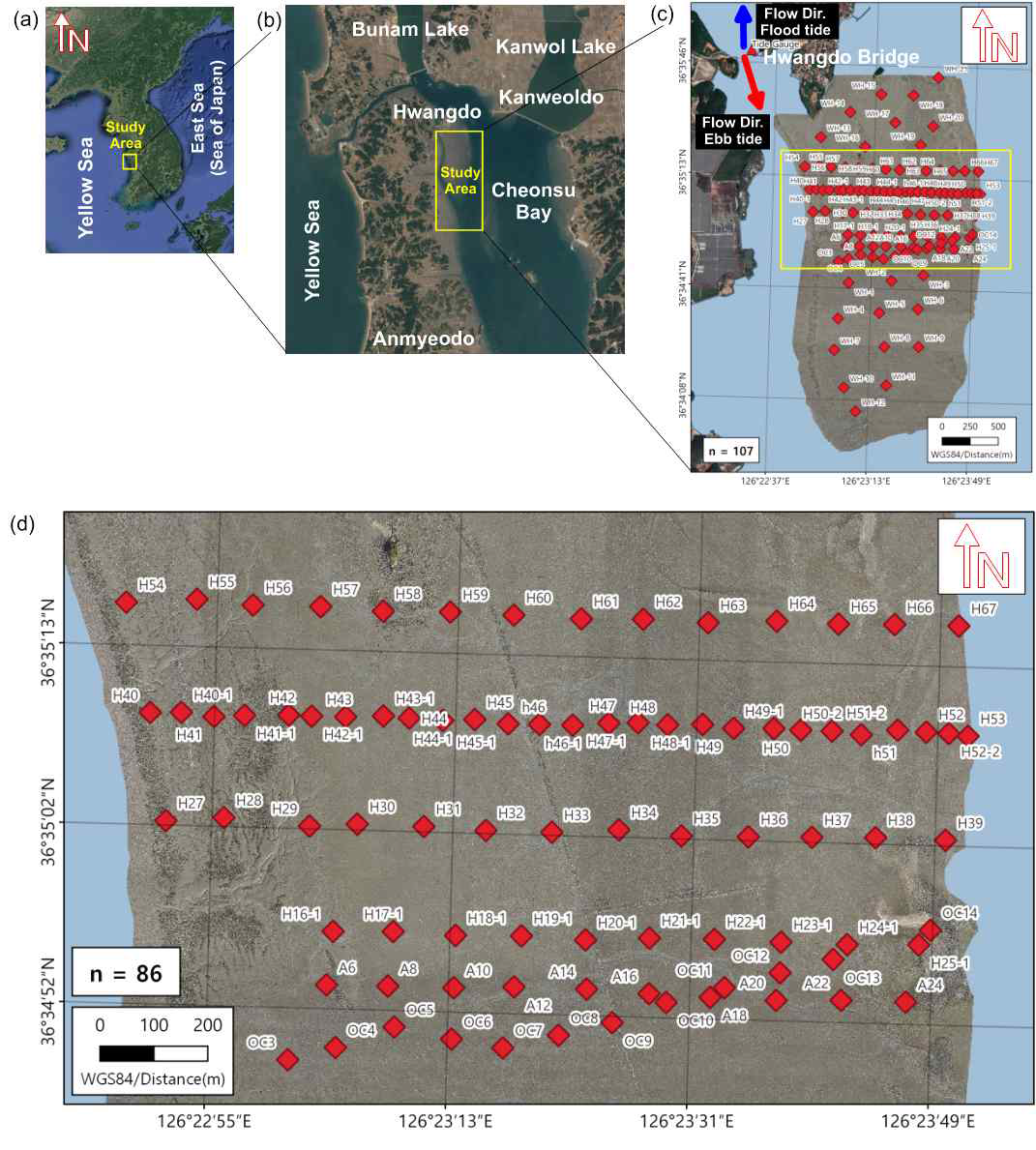 2022년 10월(2차 통합조사) (a) 연구지역 (b) 황도 갯벌 내 상세 정점. ((c)의 전체 마름모는 107개의 샘플링 포인트를 나타냄