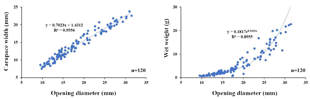 농게 서식굴 입구 지름과 갑폭 및 습중량의 상관관계