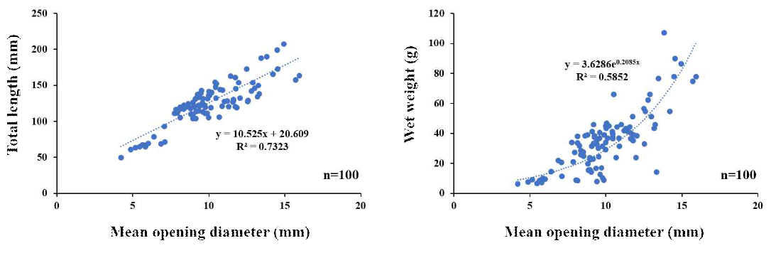 개불 평균 서식굴 입구 지름과 체장 및 습중량의 상관관계