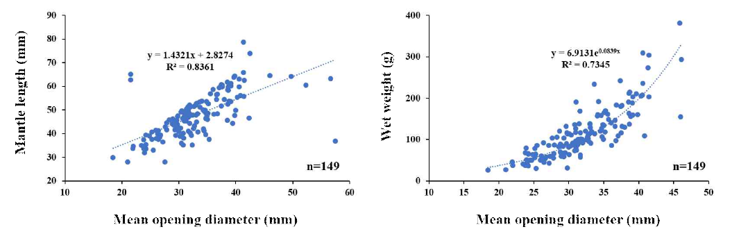낙지 평균 서식굴 입구 지름과 외투장 및 습중량의 상관관계