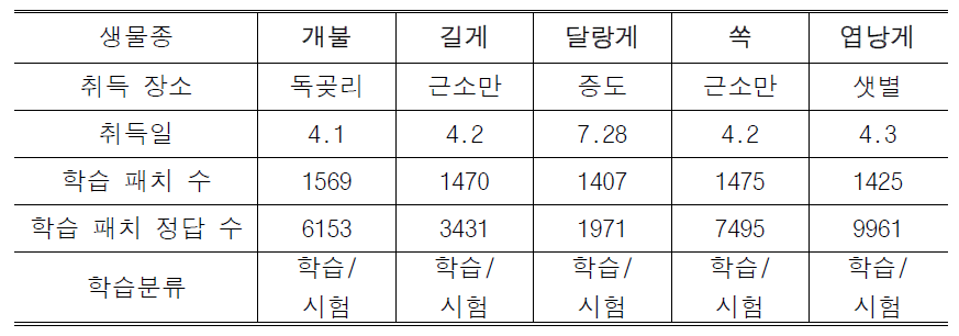 2차 연도(2022)에 취득된 갯벌 동물 드론 이미지 학습자료