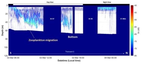 Transect 2에 대한 200 kHz 샘플 에코그램의 수직 및 공간 분포 예시