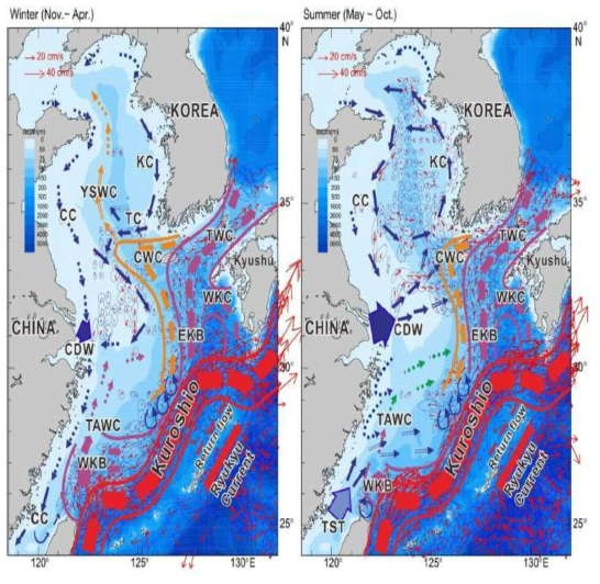 표류부이 자료를 바탕으로 구성한 겨울철과 여름철 표층 해수의 순환 모식도 (Lie et al., 2016). 직접 관측되지 않은 흐름은 점선 화살표로 표시. CC: Chinese coastal current, CDW: Changjiang diluted water, CWC: Cheju Warm Current, EKB: Eastern Kuroshio Branch, KC: Korean coastal current, TAWC: Taiwan Warm Current, TC: Yellow Sea Transversal Current, TWC: Tsushima Warm Current, WKB: Western Kuroshio Branch, WKC: Western Kyushu Current, YSWC: Yellow Sea Warm Current
