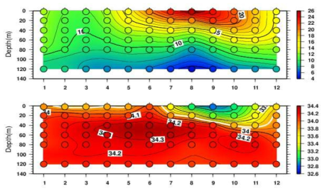 2009 ~ 2022년 동안 독도해양관측부이에서 관측된 수온, 염분의 수심별 월평균 분포 (흰색선은 염분 33.8의 등염분선을 의미)
