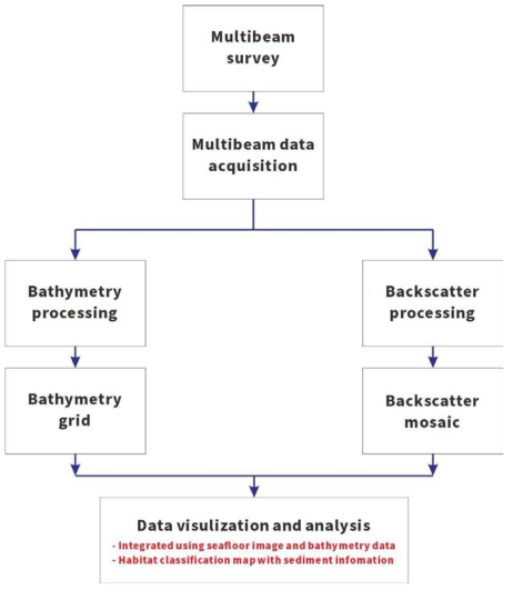 Workflow of the processing for bathymetry and backscatter data