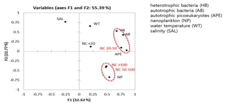 소모류 크기별 그룹(NC  100)과 잠재 먹이원 및 수환경요인과의 주성분 분석 결과