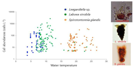 섬모충 우점종과 수온 분포의 변화