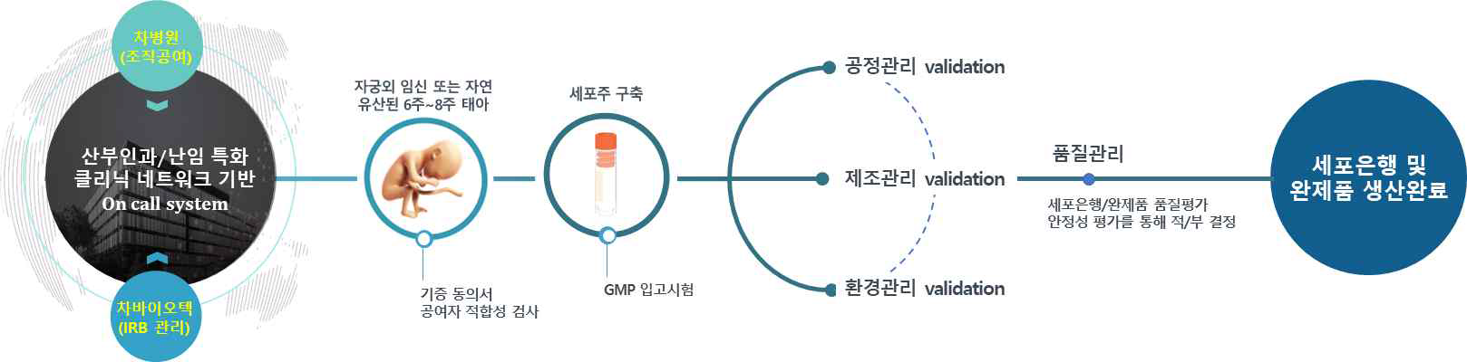 태아 조직 공여 시스템 및 신경전구세포주 확보