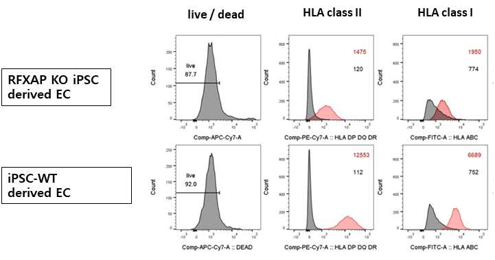 RFXAP KO에 따른 HLA class I & II 유전자 발현 분석 (HLA class II 유전자는 많이 감소, 그러나 뜻밖에도 class I 유전자 발현도 상당히 감소함을 발견)