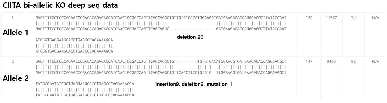 CIITA 유전자 knock out 이후 deep sequencing으로 제작 여부 확인