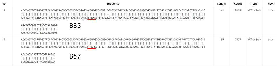 HLA-B KO 이후 deep sequencing 결과