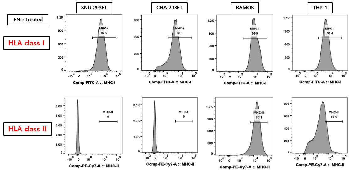 293FT, RAMOS, THP-1 cell lines에서의 HLA class I, II 발현 분석