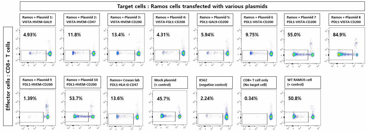 다양한 ICG 조합을 발현 시킨 RAMOS 세포를 이용한 T cell activation test 결과