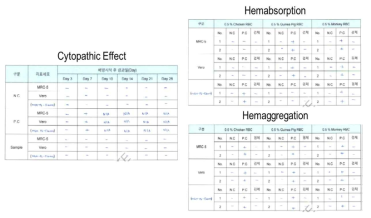 MCB 원료세포의 세포배양 시험법을 통한 외래성 바이러스 부정시험 보고서