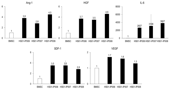 제조배치에 다른 IP의 혈관조직재생 조절 mRNA 발현 특성