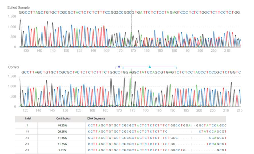 B2M Konckout sequencing