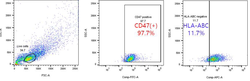 36C iEC (CD144+ MACS sorting) CD47, HLA-ABC 비율