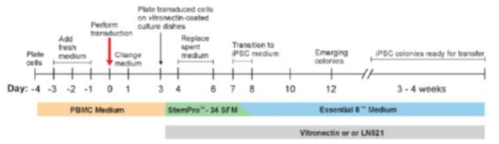 iPSC 구축 모식도