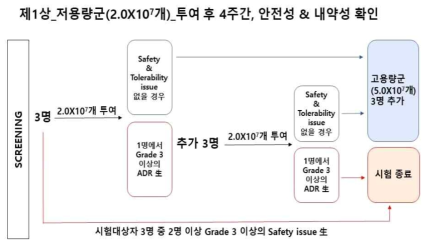 제 1상 (저용량군) 임상시험 개요