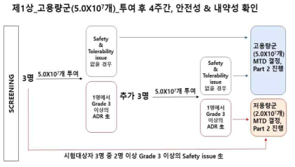 제 1상 (고용량군) 임상시험 개요