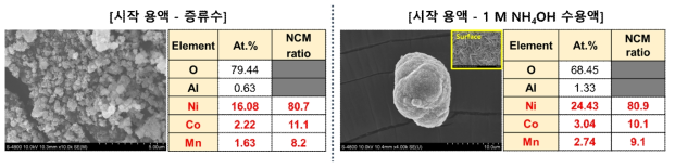 시작 용액에 따른 NCM811 전구체의 입자의 SEM 이미지와 EDS 분석을 통한 Ni:Co:Mn 원소 비율 측정 결과