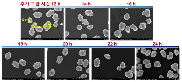 반응 용액 투입 속도 30 ml/h 일 때, NCM811 전구체 입자의 추가 교반 시간에 따른 SEM 이미지 (24시간 이내)