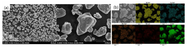 (a) 양극 활물질의 산화물 코팅 이후 SEM 이미지. (b) EDS Mapping 이미지