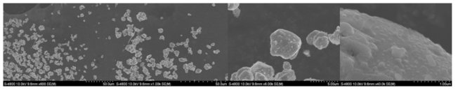 산화물이 코팅된 NCM의 열처리 이후 SEM 이미지
